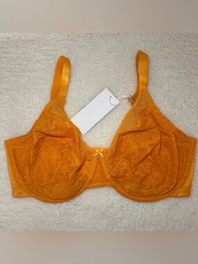 HSIA Enchanted Unlined Lace Underwire Bra 38G NWT